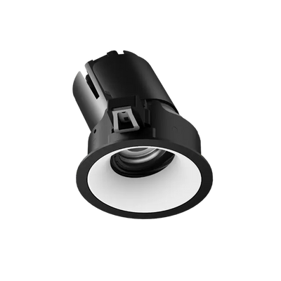 ION R Adjustable Downlight