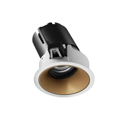 ION R Adjustable Downlight