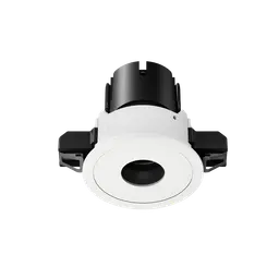 ION R Focus Downlight