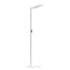 Max Freestanding Light