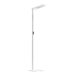 Max Freestanding Light