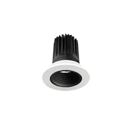 Particle Downlight