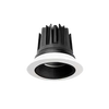 Particle Downlight