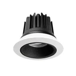 Particle Downlight