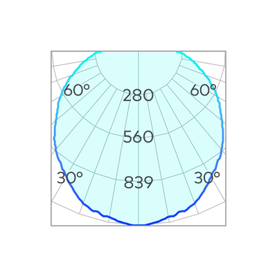 Spectrum Spike Light
