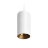 Titanium G2 Suspended Downlight