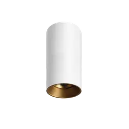 Titanium G2 Surface Mounted Downlight