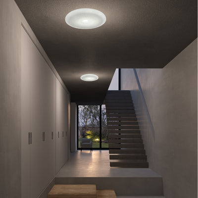 Crater Wall/Ceiling Light