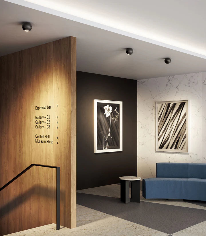 LODES Spider Ceiling Light