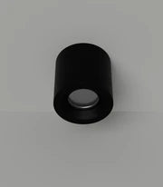 Lumina Ceiling Light