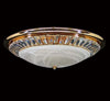 Crawford Large Crystal Gold Oyster