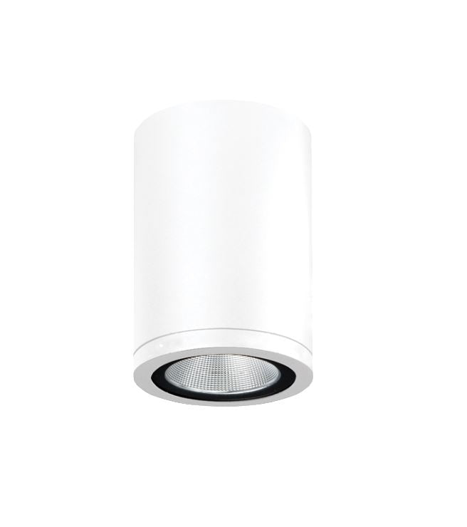 Athena White Exterior Surface Mounted Ceiling Light