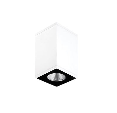 Zeron Mini White Exterior Fixed One Wall Light