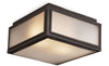 Lille Old Bronze with Frosted Tempered Glass Exterior Ceiling Light