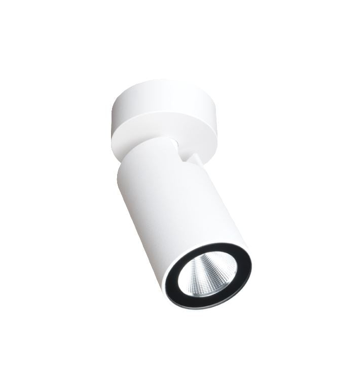 Onyx White Single Spot Light