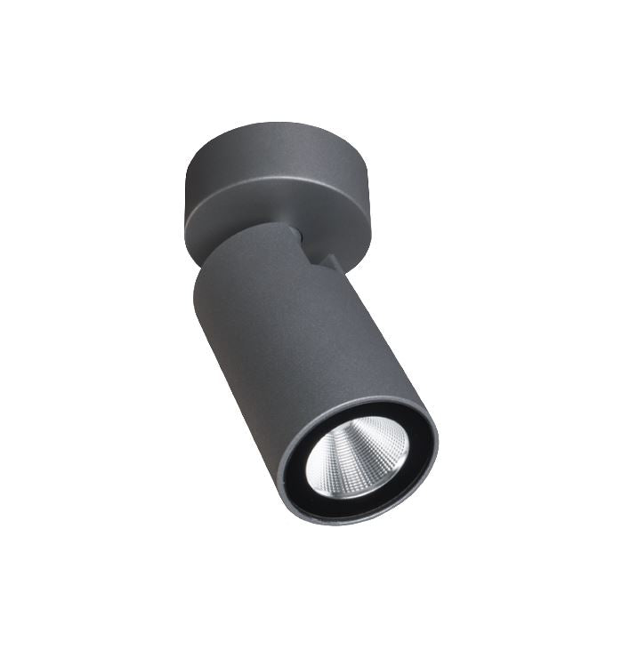 Onyx Grey Single Spot Light