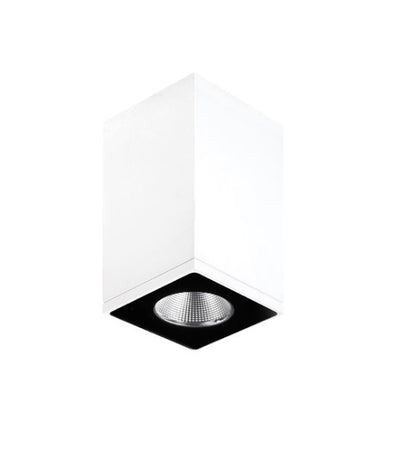 Zeron Mini White Exterior Surface Mount Down Light