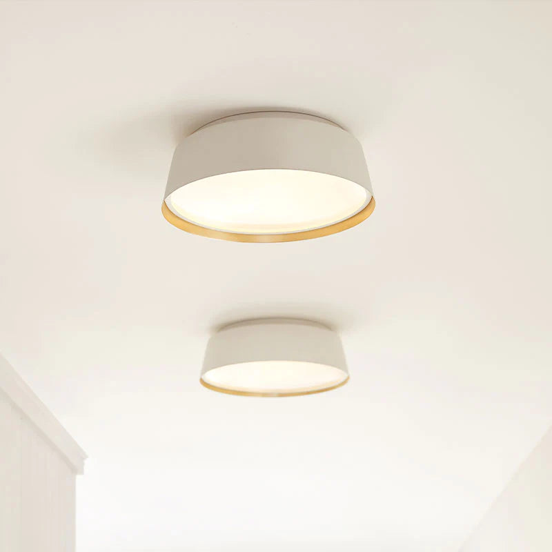 Ellen degeneres asher light deals