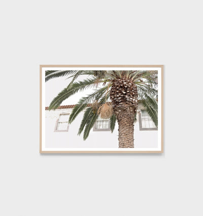 European Palm Print