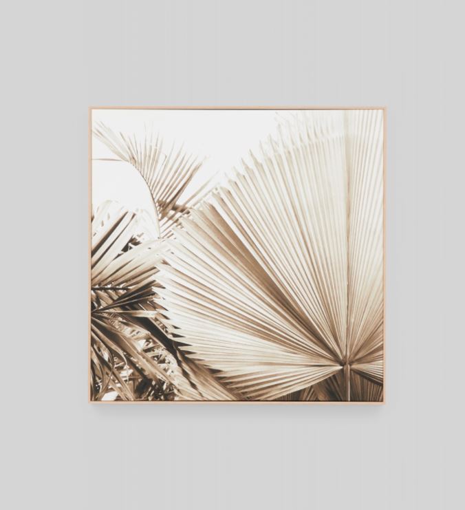 Desert Palm 1 Framed Canvas Wall Art