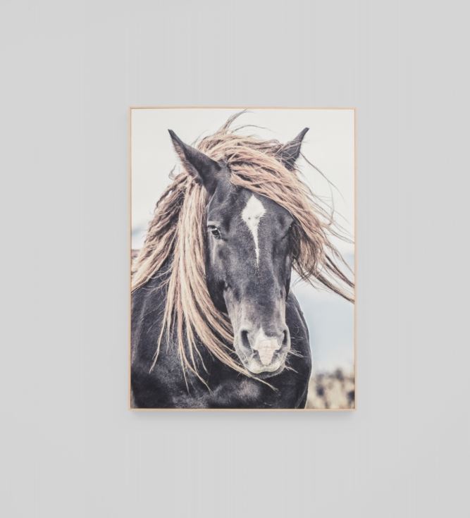 Lone Mustang Framed Canvas Wall Art