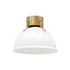 Hinkley Argo 1 Light Heritage Brass with Cased Opal Glass Flush Mount Lighting Affairs