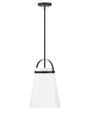 Hinkley Lark Tori 1 Light Black Pendant Lighting Affairs