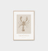 Lobster Sand Framed Print