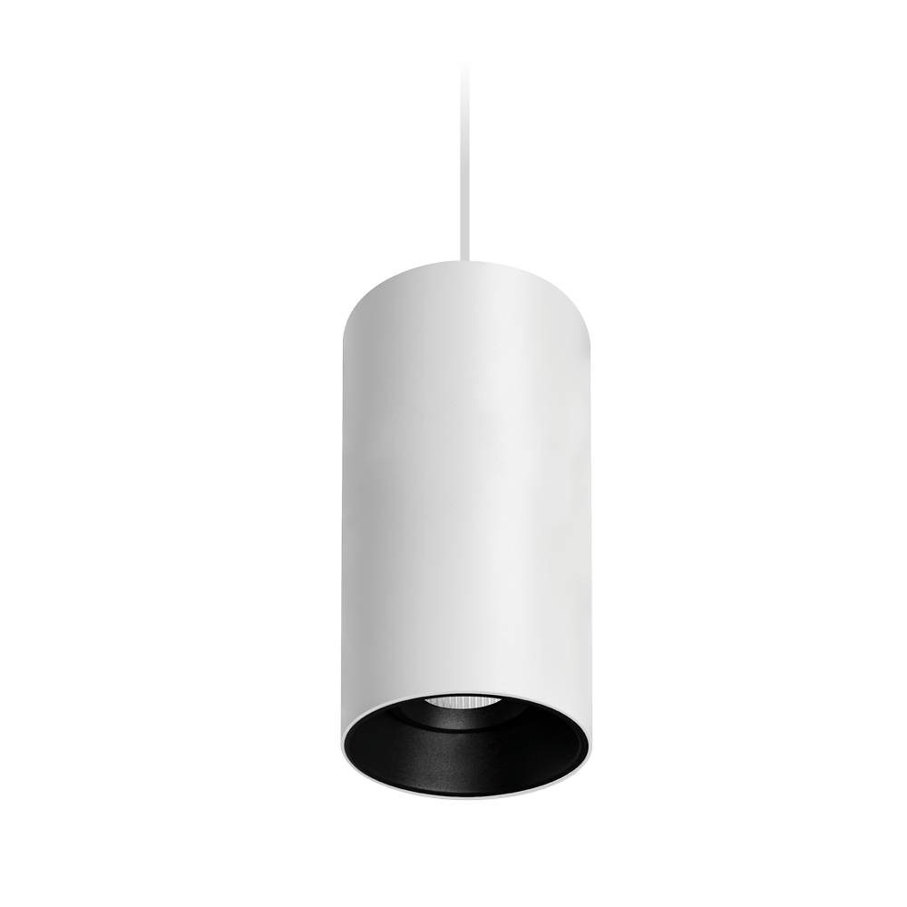 Titanium G2 Suspended Textured White/Black Downlight