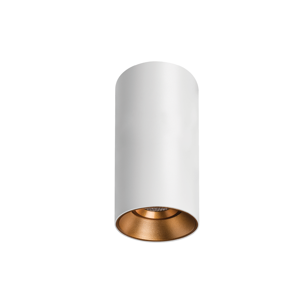 Titanium Textured White/Gold Surface Mounted Downlight