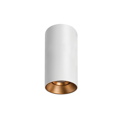 Titanium Textured White/Gold Surface Mounted Downlight