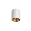 Titanium Textured White/Gold Surface Mounted Downlight