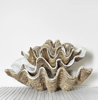 Vintage Clam
