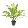 Dracaena Real Touch Plant in Pot
