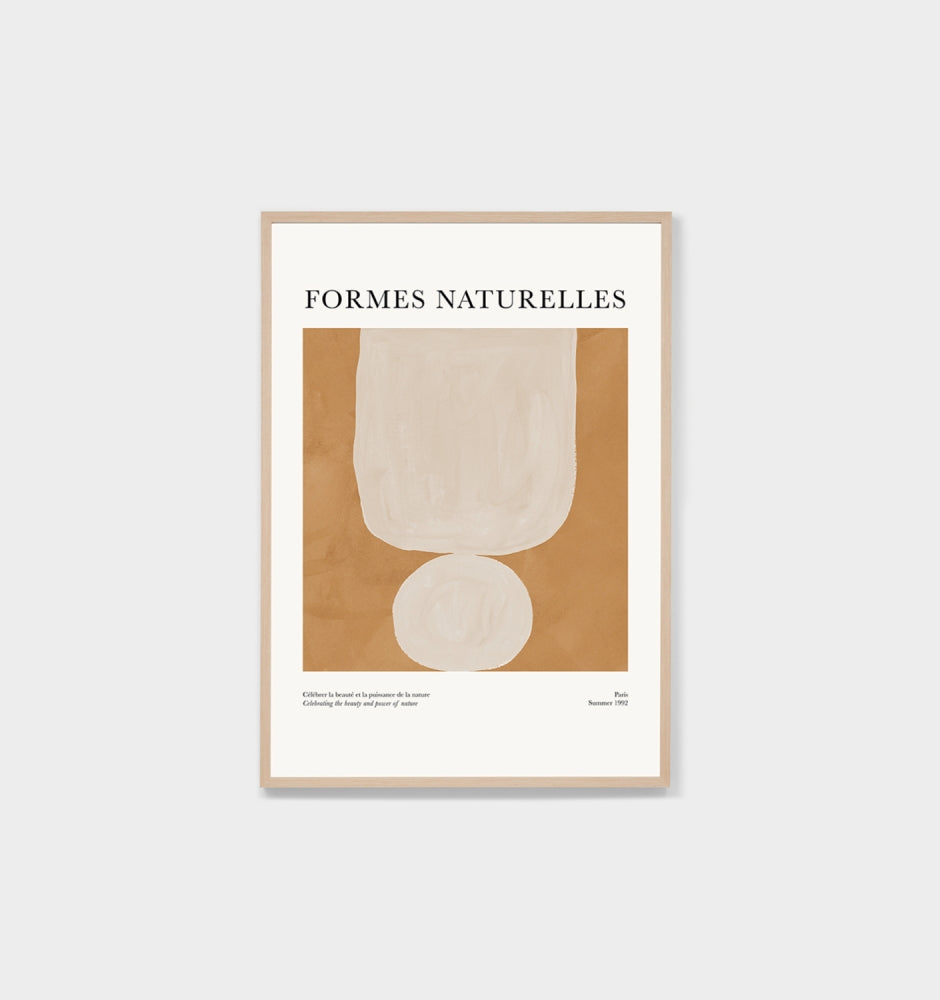 Formes Naturelles Framed Poster Print