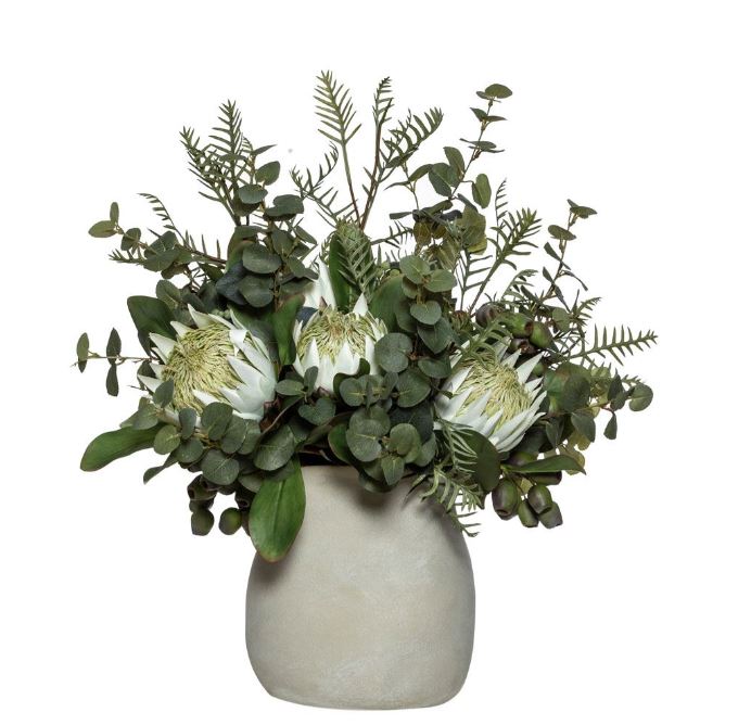 Grand King Protea Mix Maliah Pot