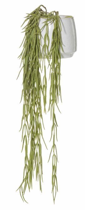 Hanging Succulent White Pot