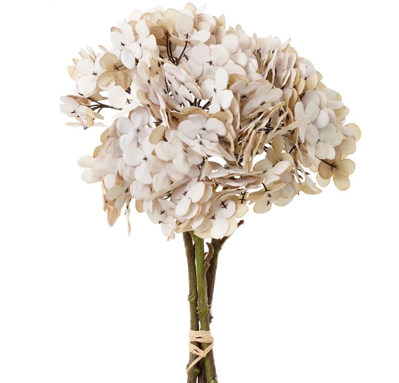 Hydrangea Dry Look Beige Bundle