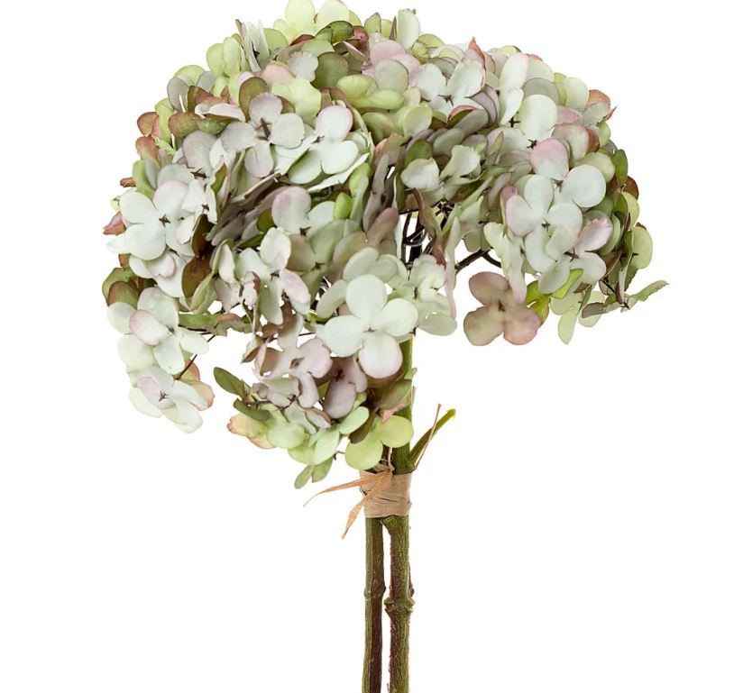 Hydrangea Dry Look Green Bundle