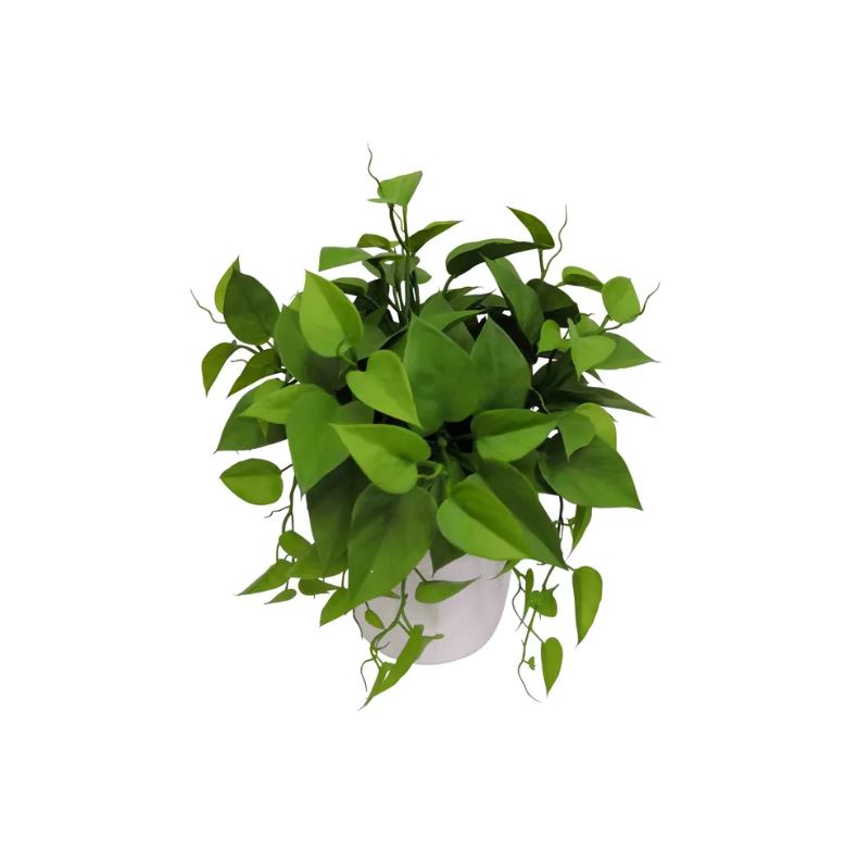 Leaves in White Plastic Pot 35cm