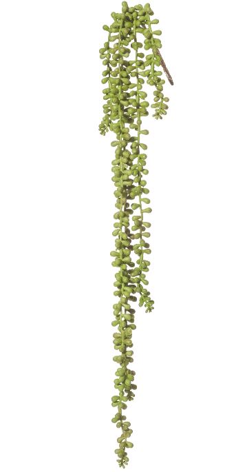 Hanging Pearls Long Stem