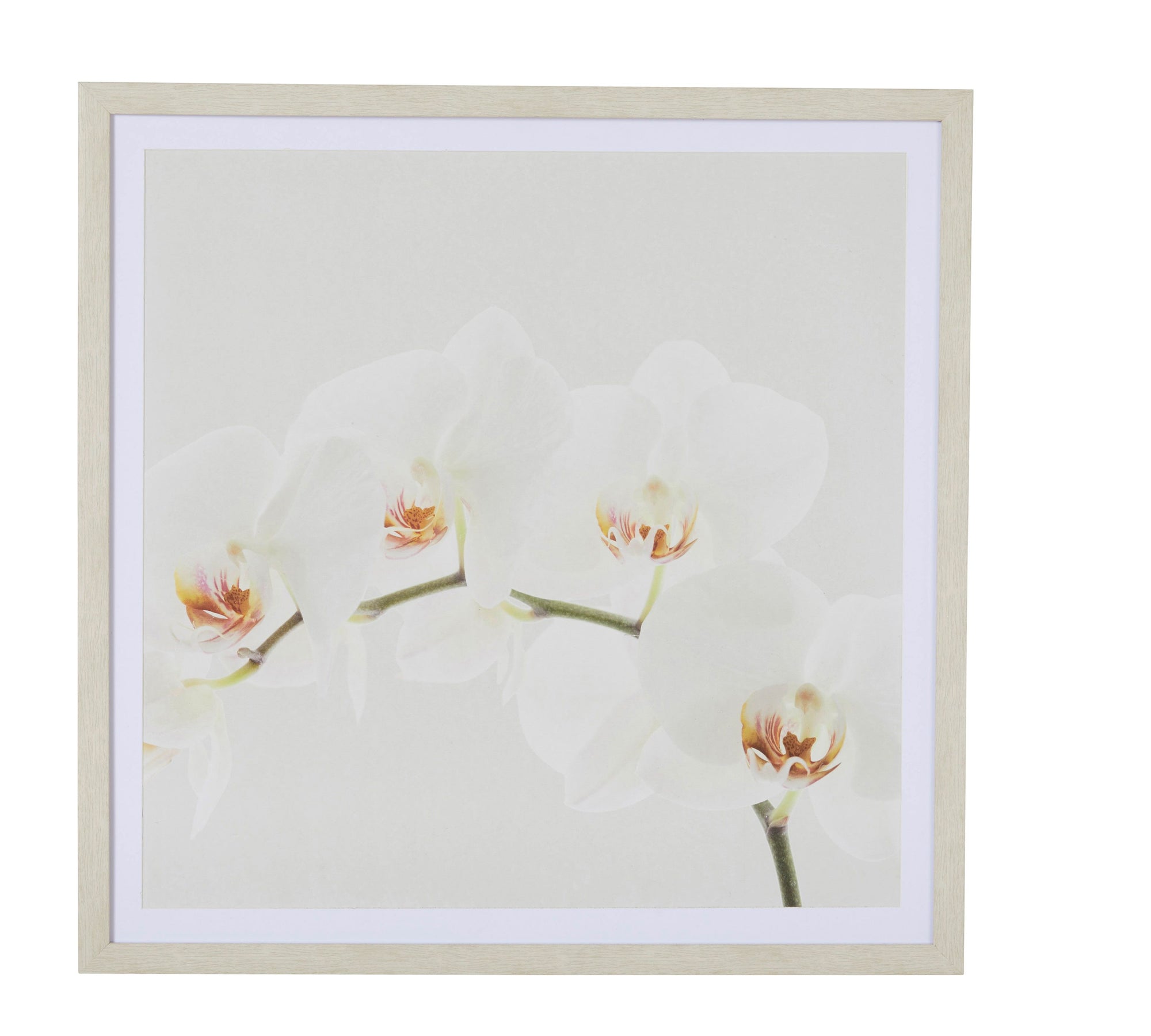 Orchid Decor Wall Art