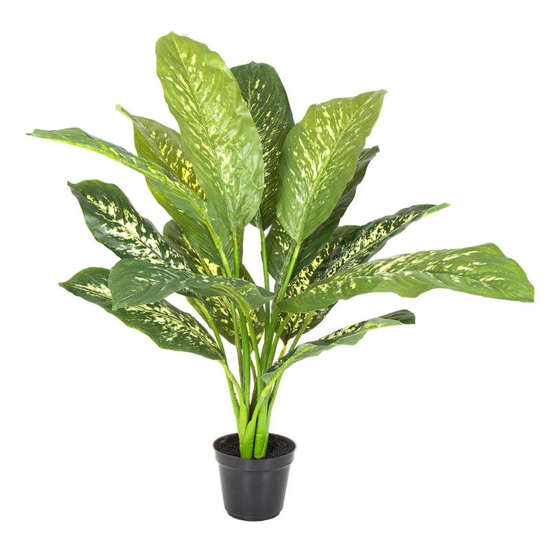 Cane Real Touch Medium Potted Plant