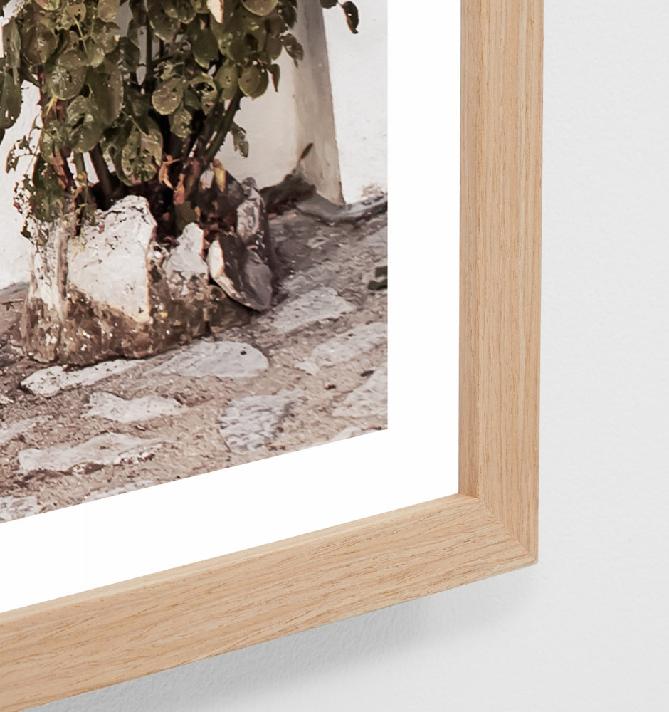 Rustic Garden Framed Print