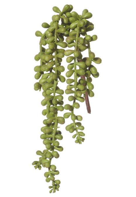 Hanging Pearls Short Stem
