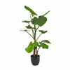 120cm Sweet Taro Real Touch Plant in Pot