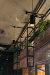 Titanium Suspended Textured Black/White Downlight