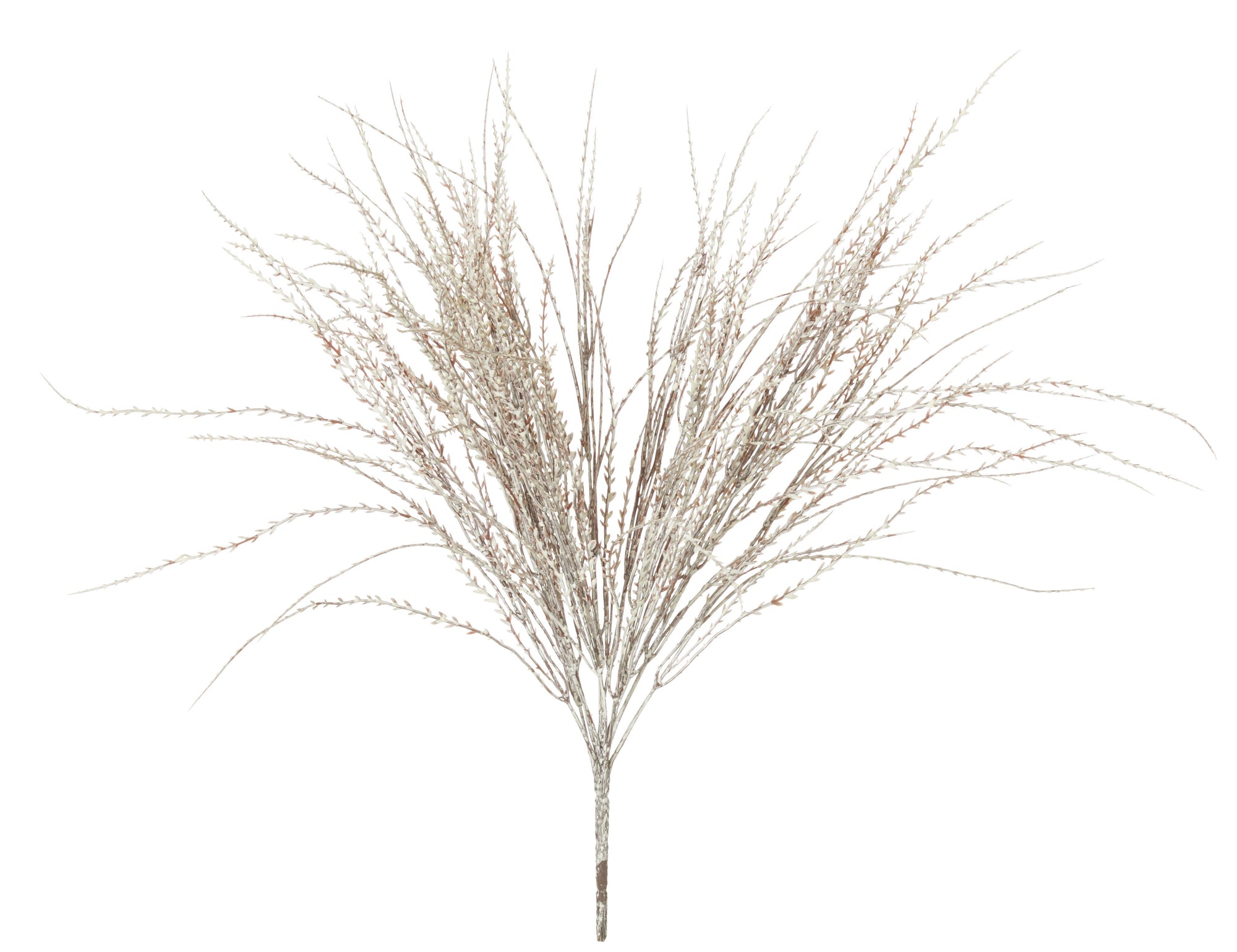 Wheat White Grass Bush