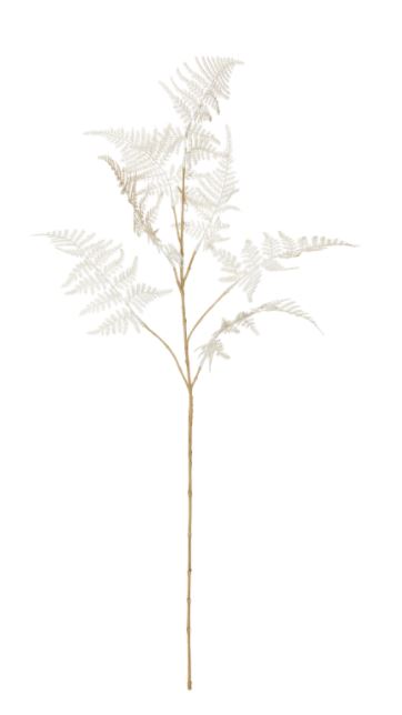 Fern White Spray