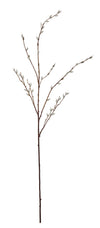 Pussy Willow White Branch